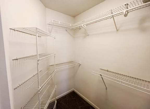 Spacious Closet at The Vinings Apartments, Cincinnati, 45245