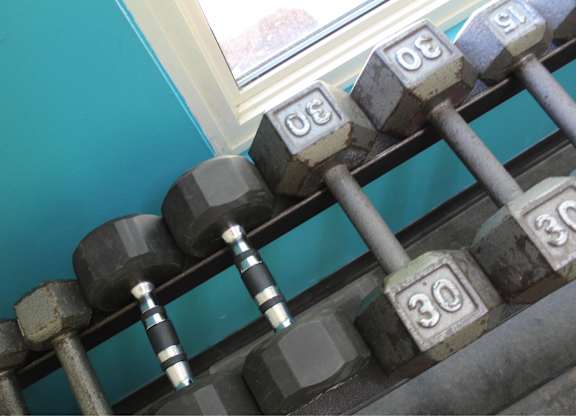 A set of dumbbells with weights of 30 lbs each.