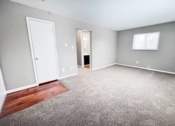 A room with a carpeted floor, a door, a window, and a small closet.