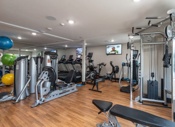 Apartment for rent in Los Angeles with fitness center and weights