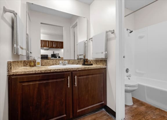a bathroom with a sink and a toilet and a mirror