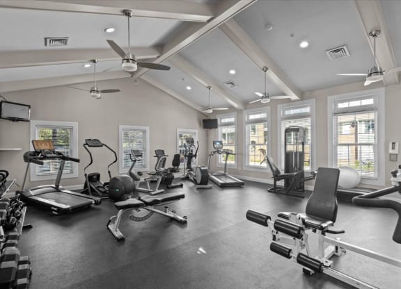 the gym is equipped with a variety of weights and cardio equipment