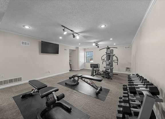 A well-equipped home gym with a variety of exercise machines.