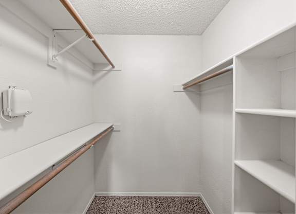 A white closet with shelves and a carpeted floor.