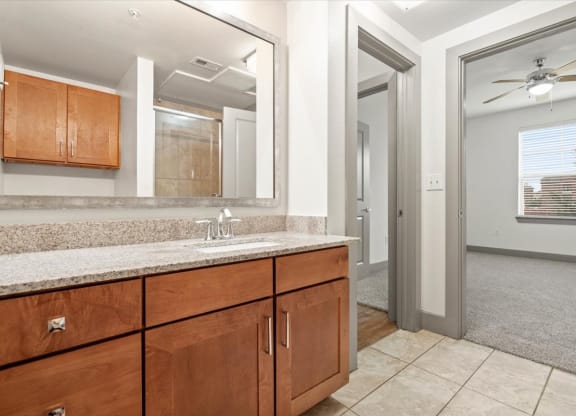 a bathroom with a sink and a mirror