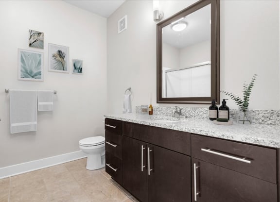 a bathroom with a vanity and a toilet and a mirror