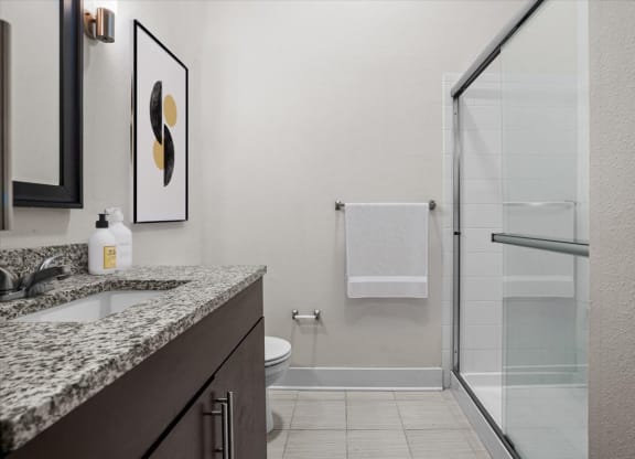 a bathroom with a sink and a shower and a toilet