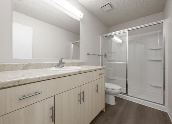 A bathroom with a sink, mirror, and toilet.