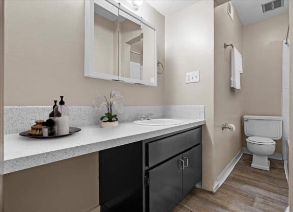 A bathroom with a vanity sink with black storage cabinets and a large mirror.