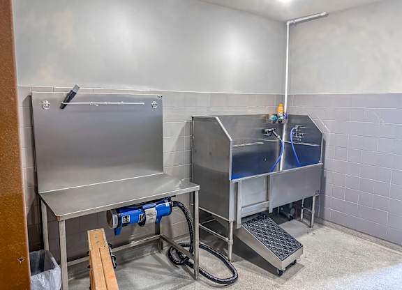 Modern pet washing station at The Dorset Apartments featuring elevated stainless steel wash tub, hose attachment, and grooming dryer.