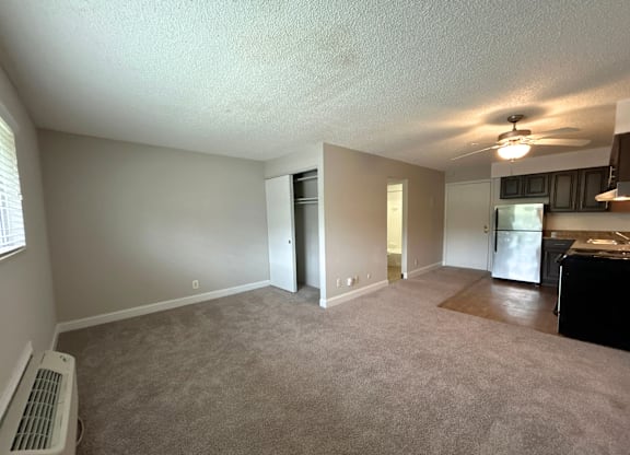 Classic Studio - Living Room with a carpeted floor and a ceiling fan.