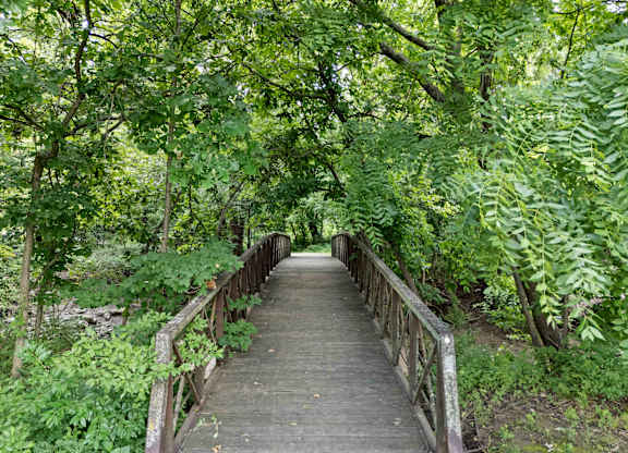 A wooden bridge leads through a lush green forest.