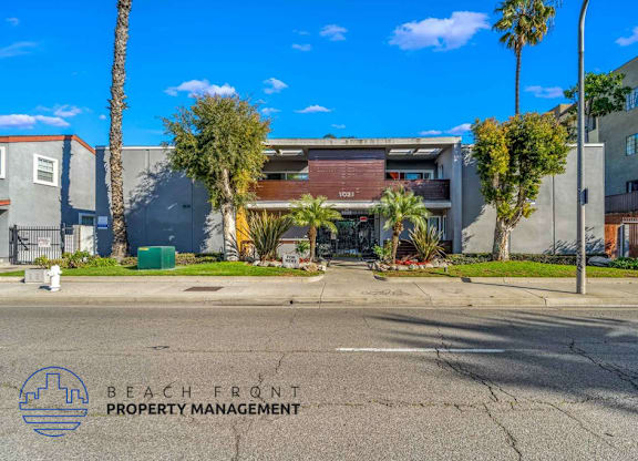 A street view with a building and palm trees in front of it.