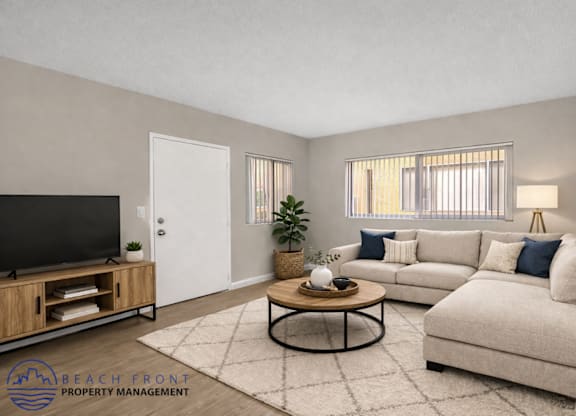 A living room with a television, a sofa, a coffee table, and a rug.