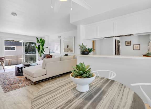 A white living room with a couch, coffee table, and potted plant.