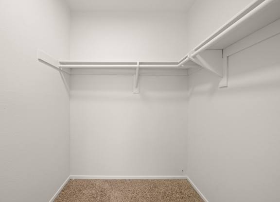 A white closet with a shelf and a carpeted floor.
