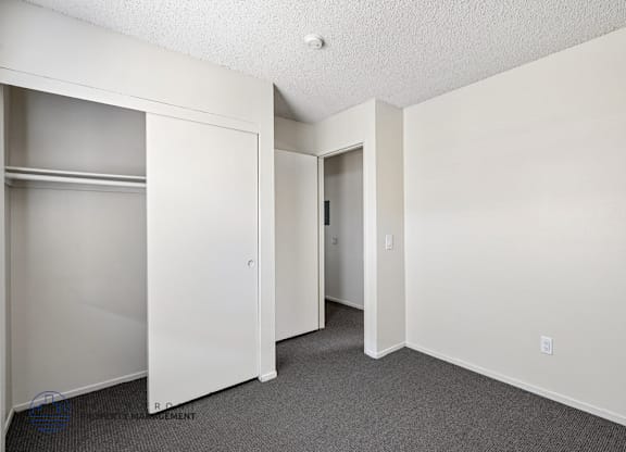A white closet with a grey carpet is shown.