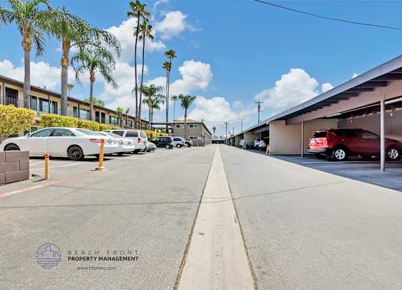 A parking lot with cars and palm trees in the background.
