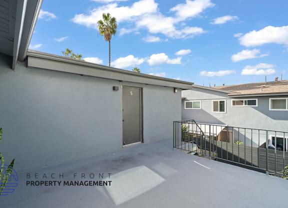 A sunny day at the beachfront property with a palm tree in the background.