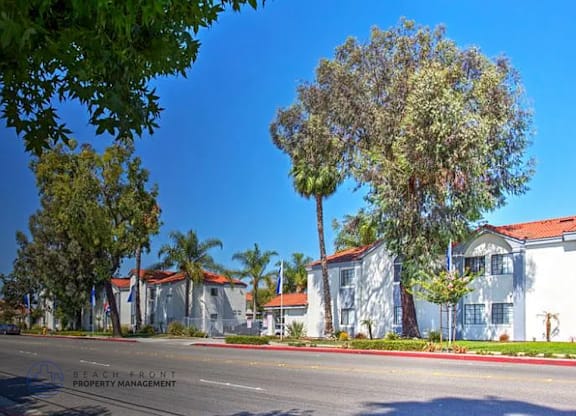 A row of white houses with trees in front.