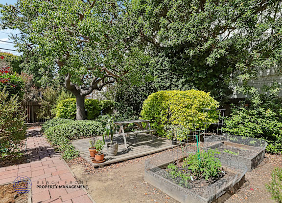A garden with a bench and a fence in the background.