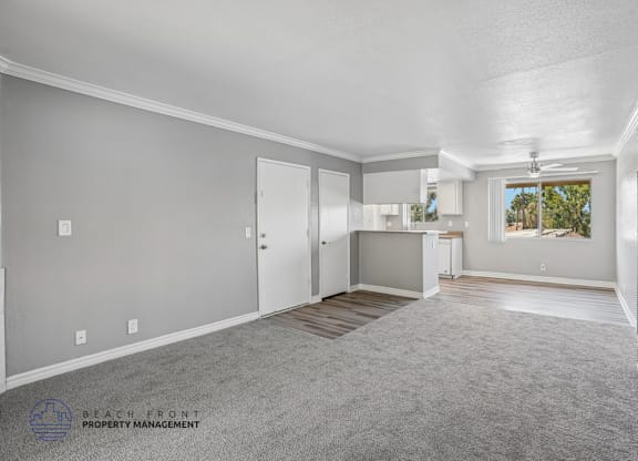 A spacious room with a carpeted floor and a window showing trees outside.