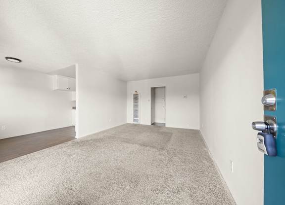 A room with a carpeted floor and a blue wall.