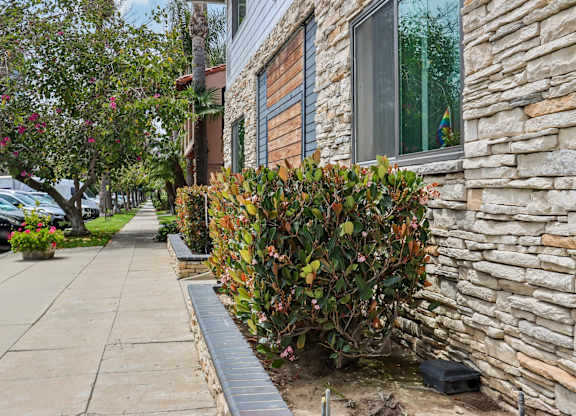 A stone building with a window and a bush in front.