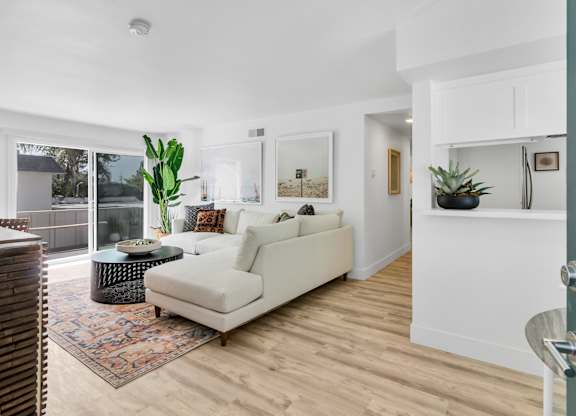A white couch sits in a living room with a rug and a potted plant.