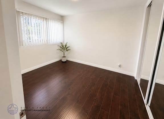 A room with wooden flooring and a small tree in a white planter.