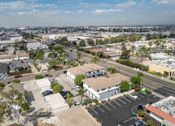 A parking lot with a building in the background and a tree in the foreground.