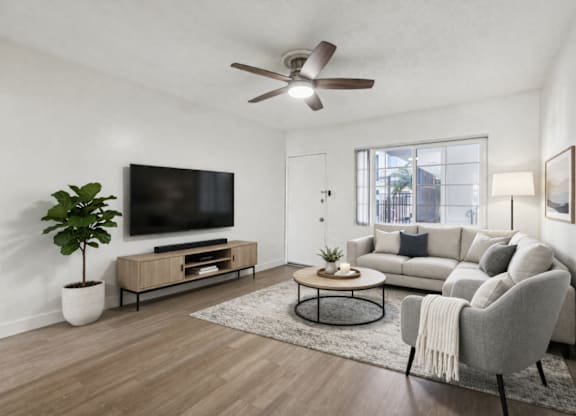 A living room with a grey couch, a television, a plant, and a fan.