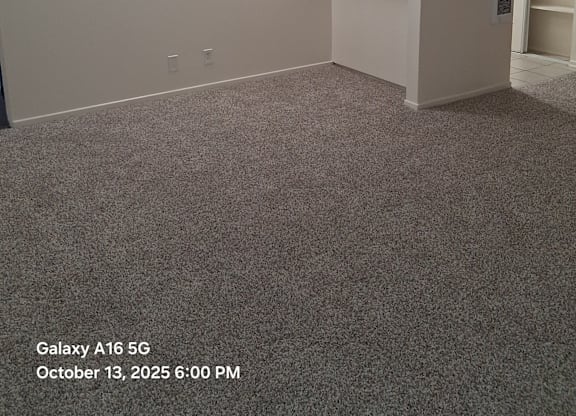 A room with a carpeted floor and a wall-mounted shelf.
