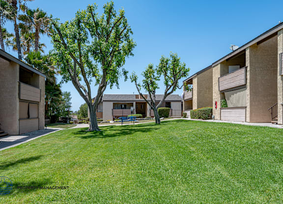 A grassy area in front of apartment buildings with trees.