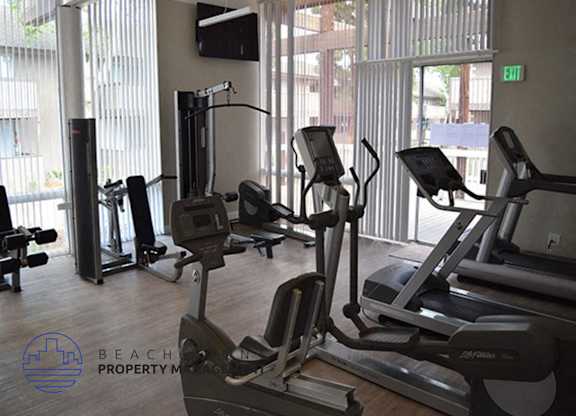A gym with treadmills, elliptical machines and a television.