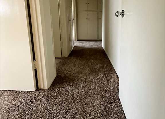 a hallway with a carpeted floor and white walls and a closet