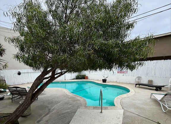 A tree is in front of a pool.