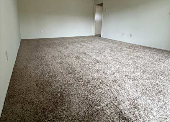 A room with a carpeted floor and a door in the background.