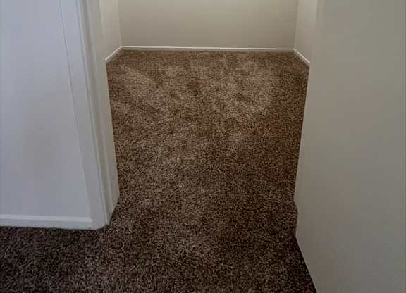 A small, empty closet with a carpeted floor.