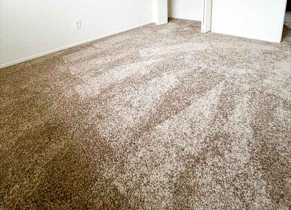 A room with a carpeted floor and a doorway leading to another room.