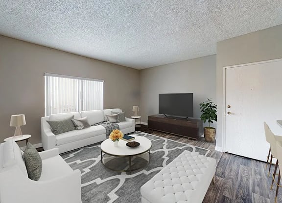 A living room with a white couch, a grey rug, and a television.