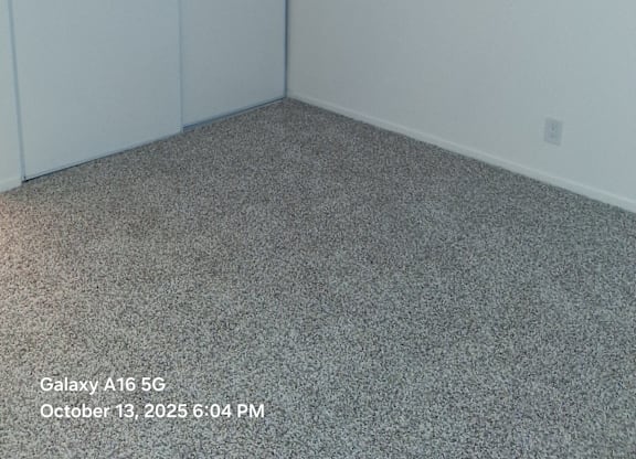 A room with a grey carpet and a white wall.