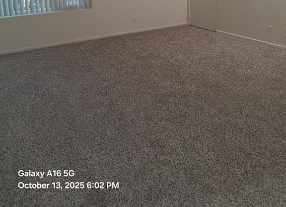 A room with a carpeted floor, a window with blinds, and a door.