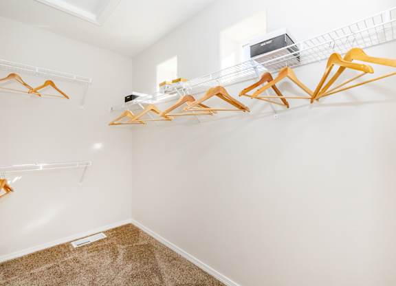 A room with a white wall and a brown carpet.