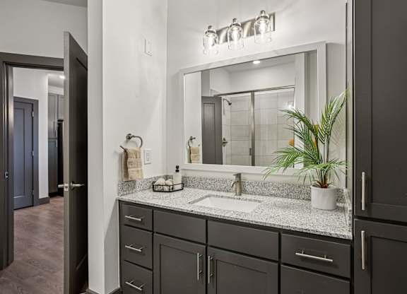 A bathroom with a sink, mirror, and a plant.
