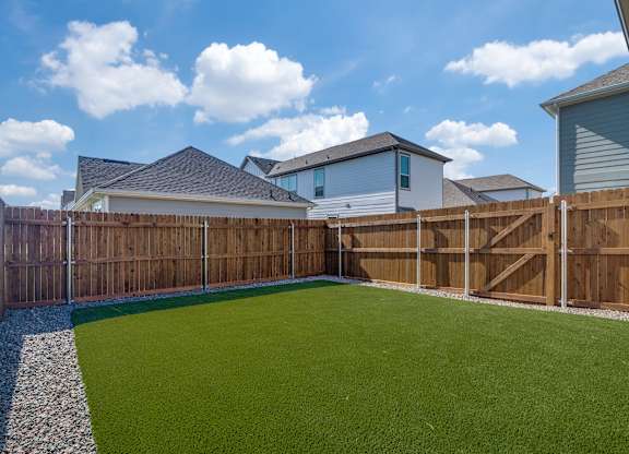 A backyard with a green lawn and a wooden fence.