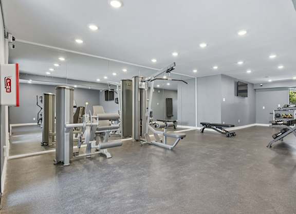 A gym with a variety of equipment including a treadmill, weights, and a bench press.