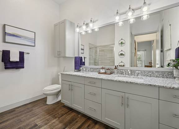 A bathroom with a white toilet and a large mirror.