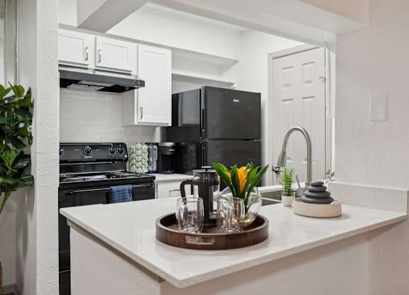 A kitchen with a black fridge and stove, a white counter, and a wooden tray with a plant on it.