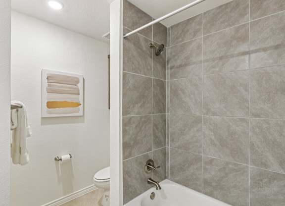 A bathroom with a toilet, a shower, and a towel hanging on the wall.